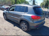 Volkswagen Tiguan S WVGBV7AX0FW579393 fotografie