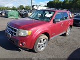 Ford Escape Xlt 1FMCU93168KD15021 fotografie