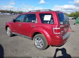 Ford Escape Xlt 1FMCU93168KD15021 fotografie