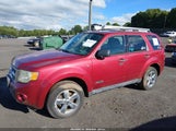 Ford Escape Xlt 1FMCU93168KD15021 fotografie