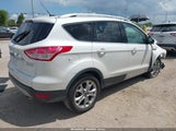 Ford Escape Titanium 1FMCU0J91EUD56077 fotografie