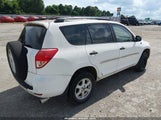 Toyota Rav4 JTMZD33V686057154 fotografie
