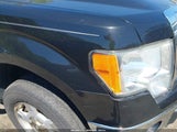 Ford F-150 Xlt 1FTEW1CM2DFB73529 снимка