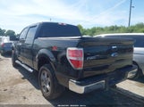 Ford F-150 Xlt 1FTFW1ET7EFA65238 снимка