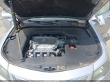 Acura Tl 3.5 19UUA8F52DA005279 снимка