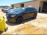Ford Edge Sel 2FMDK4JC6DBB04293 fotografie