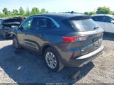 Ford Escape Se 1FMCU9G67LUB43486 fotografie