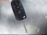 Miniaturka zdjęcia 11
