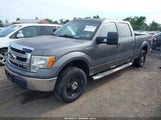 Ford F-150 Xlt 1FTFW1EF4DFA96987 fotografie