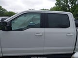 Ford F-150 Xlt 1FTEW1EP1KFD03725 fotografie