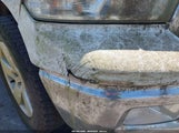Dodge Ram  Slt/Sport/Trx 1D7RV1GT6AS216977 fotografie
