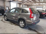 Honda Cr-V Lx 5J6RE48329L058499 снимка