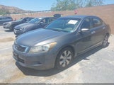 Honda Accord 3.5 Ex-L 1HGCP368X8A051987 photo