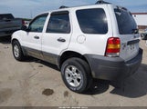 Ford Escape Xlt/Xlt Sport 1FMYU03137KA85566 fotografie