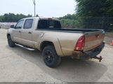Toyota Tacoma Base V6 5TEMU52N36Z152116 fotografie