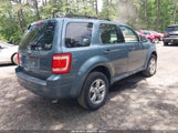 Ford Escape Xlt 1FMCU0D7XAKC76020 снимка