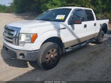 Ford F-150 Fx4/King Ranch/Lariat/Platinum/Xl/Xlt 1FTPW14V29FB23530 fotografie