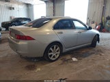 Acura Tsx JH4CL96805C020503 fotografie