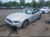 Ford Mustang V6 1ZVBP8EM9E5224678 fotografie