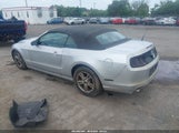 Ford Mustang V6 1ZVBP8EM9E5224678 fotografie