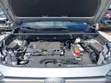 Toyota Rav4 Xle 2T3P1RFV5SW549033 fotografie