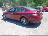 Nissan Maxima 3.5 Sv 1N4AA51E69C830458 снимка