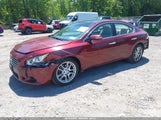 Nissan Maxima 3.5 Sv 1N4AA51E69C830458 снимка