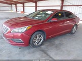 Hyundai Sonata Se 5NPE24AFXGH355135 снимка