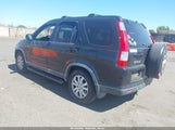 Honda Cr-V Se JHLRD78905C024458 photo