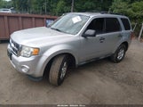 Ford Escape Xlt 1FMCU0DG2BKC16461 photo