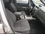 Ford Escape Xlt 1FMCU0DG2BKC16461 photo