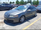 Acura Tl 3.2 19UUA66258A027163 снимка