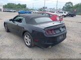 Ford Mustang V6 Premium 1ZVBP8EM7D5219509 снимка