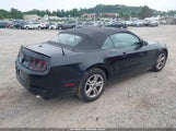 Ford Mustang V6 Premium 1ZVBP8EM7D5219509 снимка