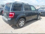 Ford Escape Xlt 1FMCU03759KA93542 fotografie