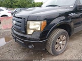 Ford F-150 Fx4/King Ranch/Lariat/Platinum/Xl/Xlt 1FTPW14V69FA42515 fotografie
