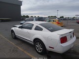 Ford Mustang V6 Deluxe/V6 Premium 1ZVFT80N275353796 photo