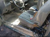 Ford Escort Zx2 Cool/Zx2 Hot 3FAKP1132WR258005 fotografie