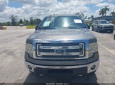 Ford F-150 Xlt 1FTFW1ET8DKD93547 снимка