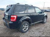 Ford Escape Limited 1FMCU9EG1CKB76300 снимка