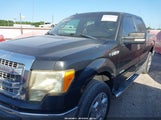 Ford F-150 Xlt 1FTFW1ETXDFC87044 снимка