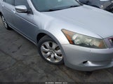 Honda Accord 3.5 Ex-L 1HGCP36888A073518 fotografie