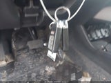 Miniaturka zdjęcia 11