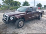 Dodge Dakota Slt 1D7HE42K95S136266 photo