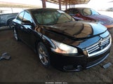 Nissan Maxima 3.5 Sv 1N4AA5AP4DC810204 снимка