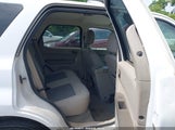 Ford Escape Xlt 1FMCU03118KC97443 fotografie