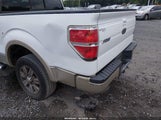 Ford F-150 King Ranch/Lariat/Platinum/Xl/Xlt 1FTPW12V69FB45825 fotografie