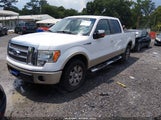 Ford F-150 King Ranch/Lariat/Platinum/Xl/Xlt 1FTPW12V69FB45825 fotografie