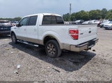 Ford F-150 King Ranch/Lariat/Platinum/Xl/Xlt 1FTPW12V69FB45825 fotografie