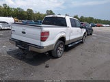 Ford F-150 King Ranch/Lariat/Platinum/Xl/Xlt 1FTPW12V69FB45825 fotografie
